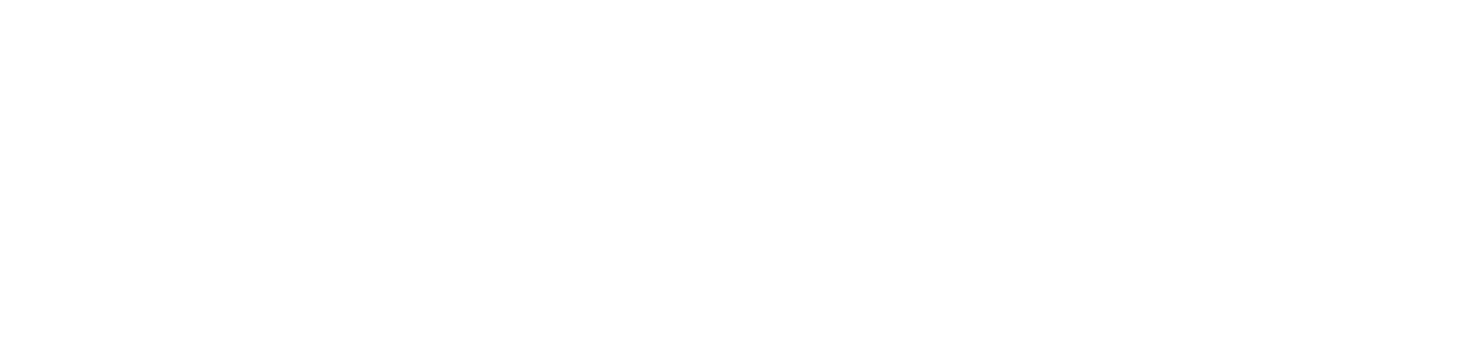 Paragon-Logo-White-L